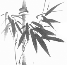 bamboo-graphic-notextflip